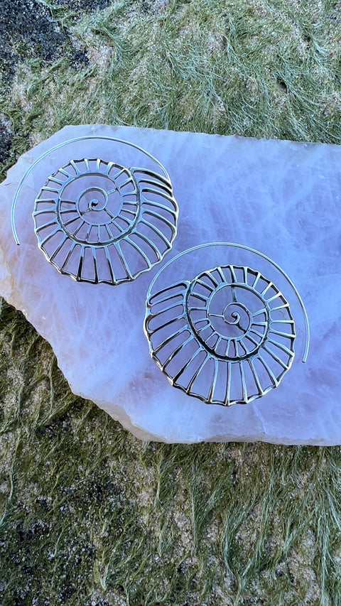 Silver Seashell Earrings