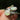 Double Opal Silver Ring