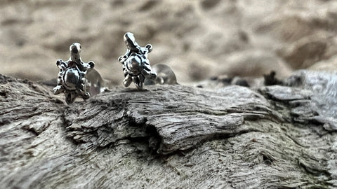 Silver Baby Turtle Studs