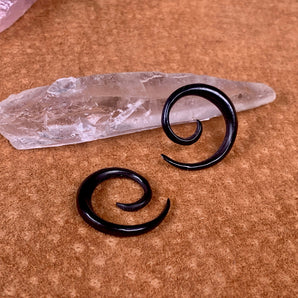 3mm Sacred buffalo horn spirals earrings.  Gauge Earrings.